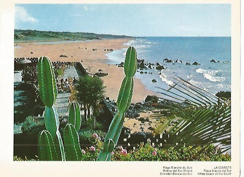 LAMINA 1724: LANZAROTE. Playa Blanca del Sur
