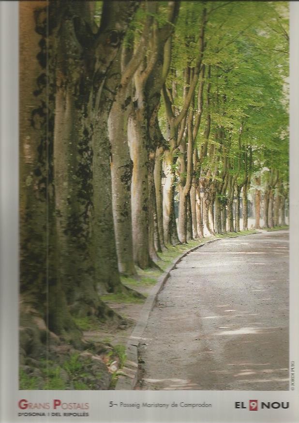 LAMINA 1830: CAMPRODON. Passeig Maristany