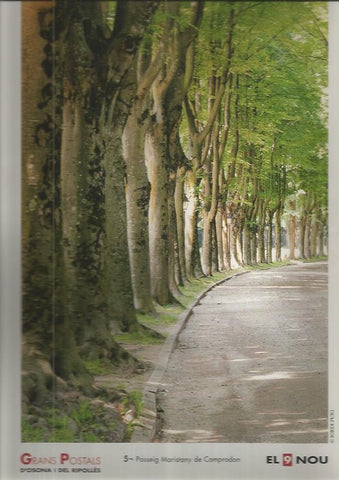 LAMINA 1830: CAMPRODON. Passeig Maristany