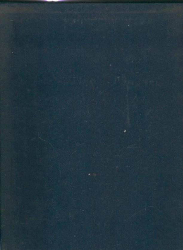Enciclopedia de la Decoracion practica volumen 2