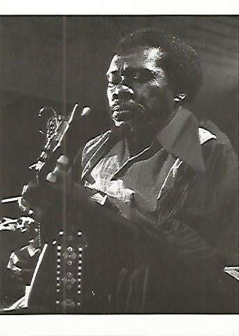 POSTAL 54083: The Blues. Joe Willie Wilkins. 1973