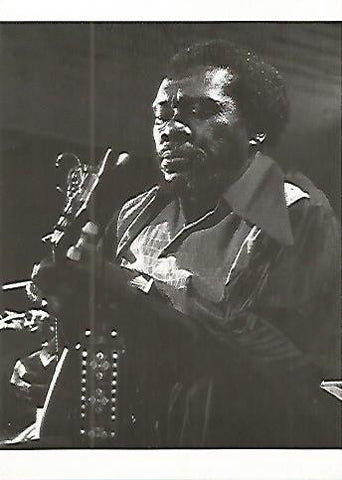 POSTAL 54083: The Blues. Joe Willie Wilkins. 1973
