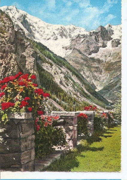 Postal 046883 : Paisaje