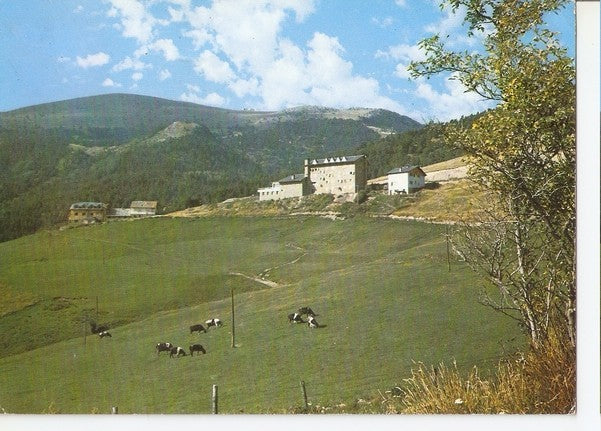 Postal 046992 : La Molina. Hoteles Molina y UEC con sus prados