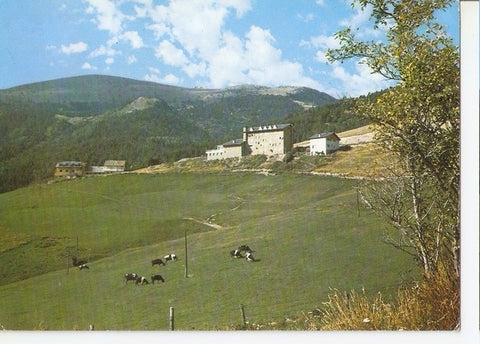 Postal 046992 : La Molina. Hoteles Molina y UEC con sus prados