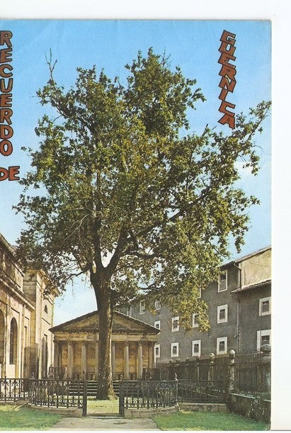 Postal 047037 : Guernica (Vizcaya). Arbol simbolico