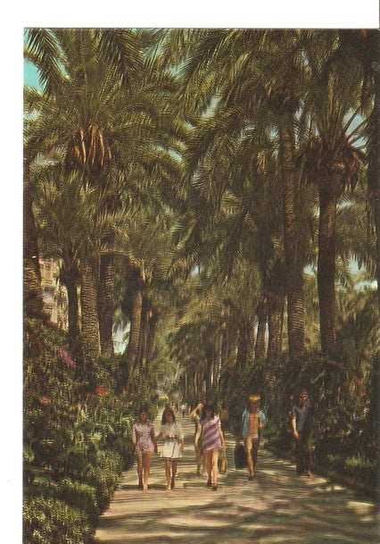 Postal 047038 : Alicante. Explanada y jardines