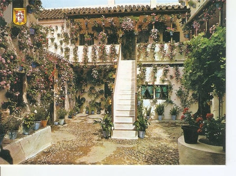 Postal 047066 : Cordoba. Patrimonio de la humanidad. Patio cordobes. Primer premio