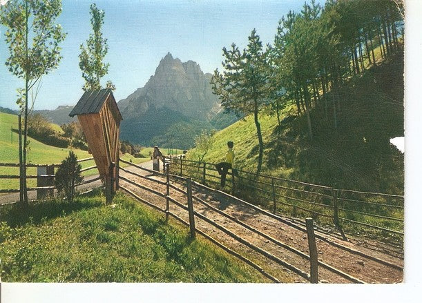 Postal 047072 : Camino vallado en el campo