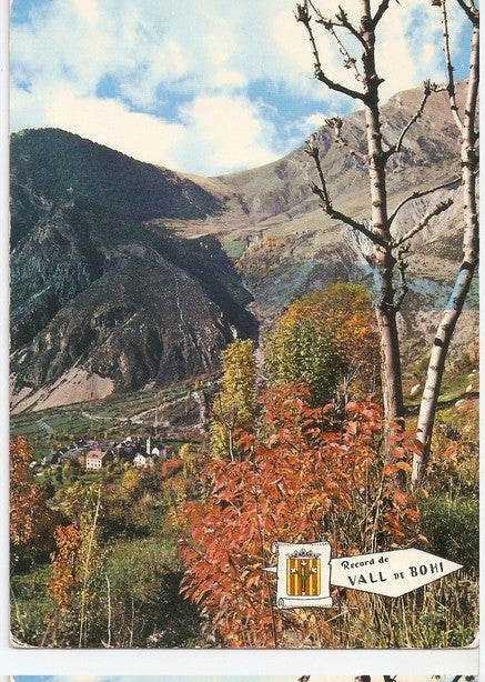 Postal 047224 : Pirineo de Lerida. Bohi. Vista general