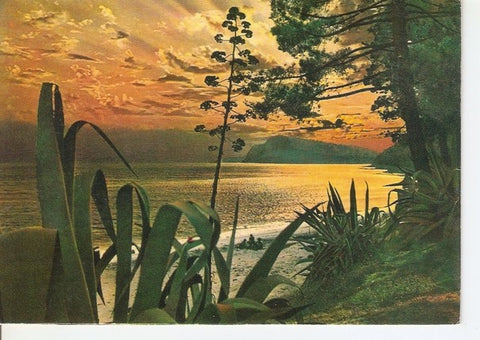 Postal 047256 : Quand le soleil met sa parure de pourpre et dor