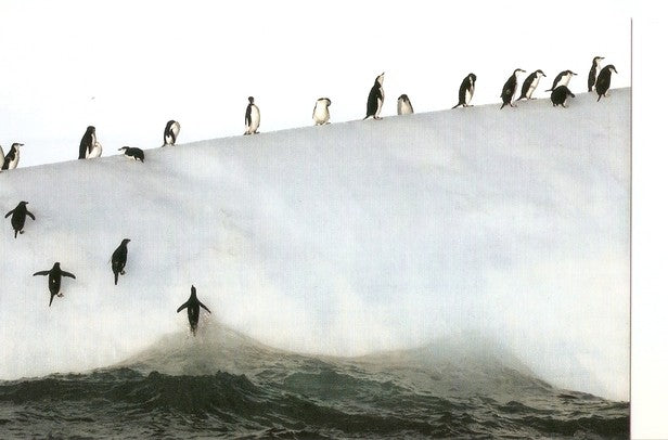 Postal 047290 : Los escaladores del hielo. Maria Stenzel