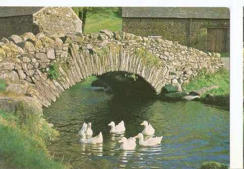 Postal 047532 : The Old Packhorse bridge at Watendlath