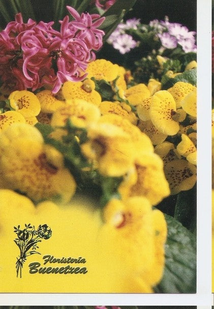 Postal 047558 : Floristeria Buenetxea. Servicio a domicilio reparto a tanatorios velatorios - Donostia