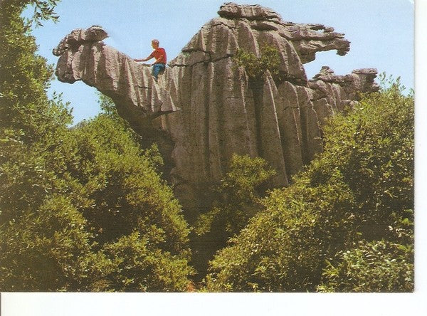 Postal 047572 : Mallorca. Lluch. El Camello