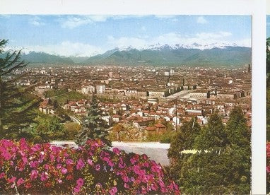 Postal 047667 : Torino. Panorama