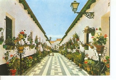 Postal 047785 : Malaga. Calle tipica