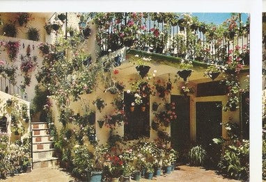 Postal 047789 : Patio cordobes