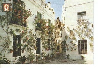 Postal 047791 : Cordoba. Calleja y Plaza de las Flores