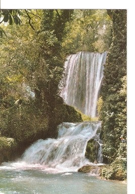 Postal 047815 : Monasterio de Piedra (Zaragoza). Baño de Diana y Cascada Caprichosa