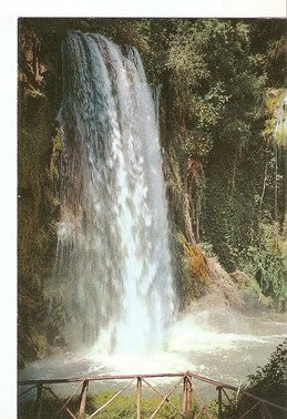 Postal 047817 : Monasterio de Piedra (Zaragoza). Cascada Caprichosa