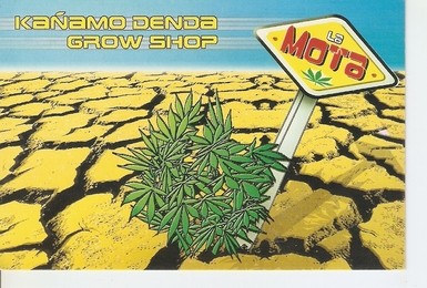 Postal 047966 : La Mota. Kañamo Denda Grow Shop