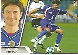 CROMO ALBUM LIGA DE FUTBOL 2007-2008: Pachon (no 160) Getafe F.C.
