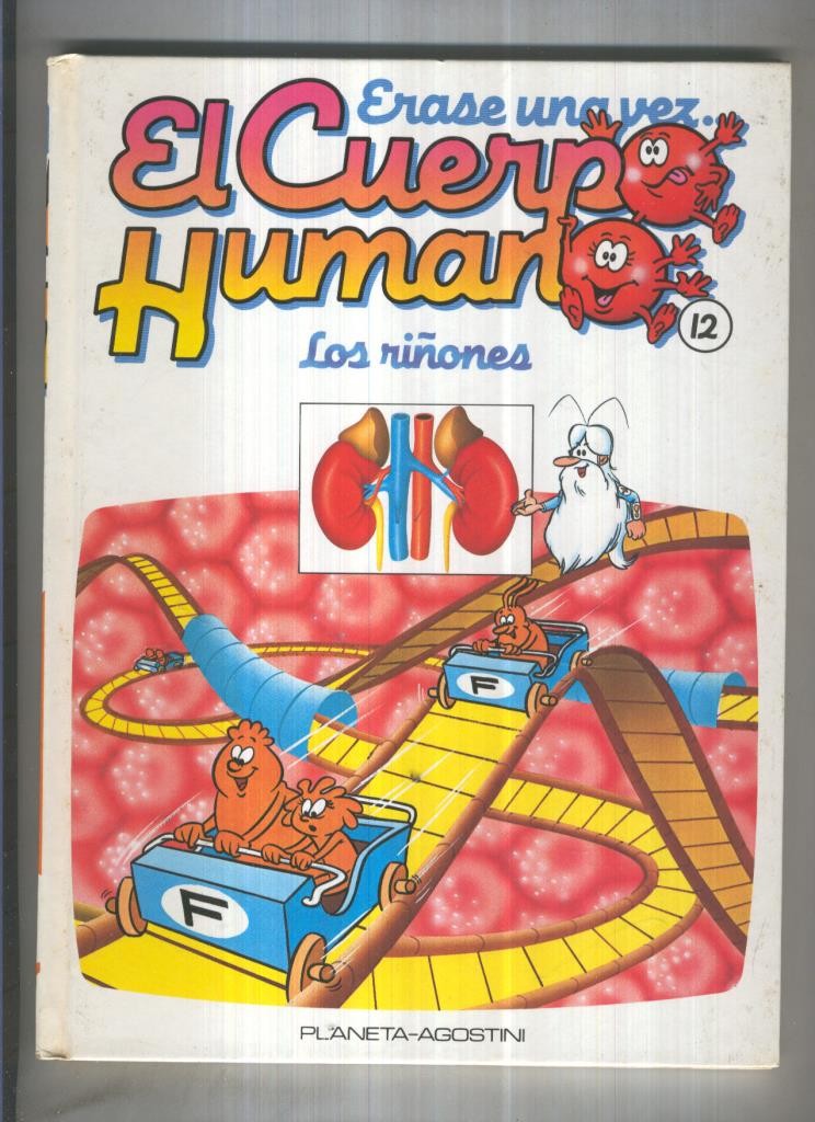 Erase una vez el cuerpo humano volumen 12: Los riñones