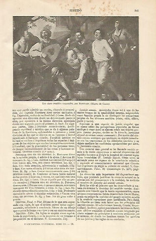 LAMINA ESPASA 613: Los cinco sentidos corporales por Rombouts