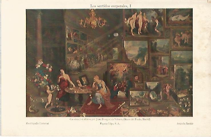LAMINA ESPASA 614: La vista y el olfato por Brueghel