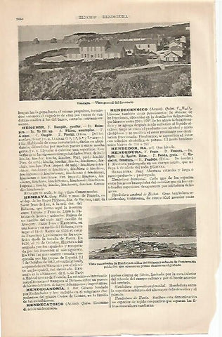 LAMINA ESPASA 662: Sanatorio de HendayaFrancia