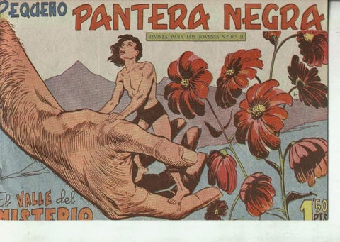 Pequeño Pantera Negra numero 150: El valle del misterio
