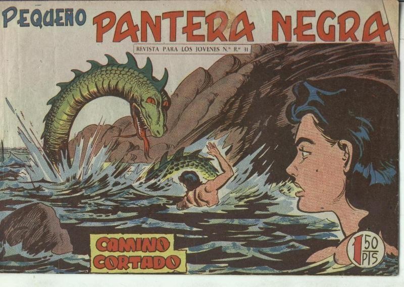Pequeño Pantera Negra numero 181: Camino cortado