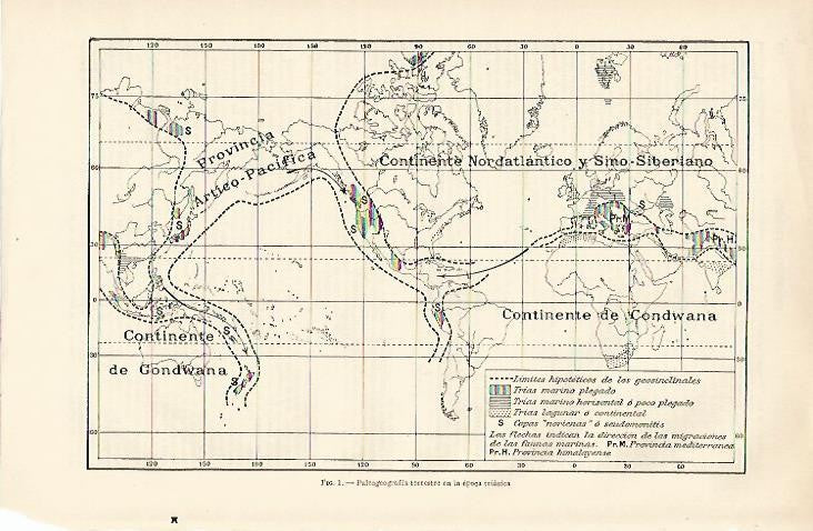 LAMINA ESPASA 856: Paleogeograia terrestre en la epoca triasica