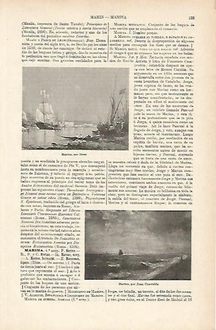 LAMINA ESPASA 1086: Marina obra de Ziem