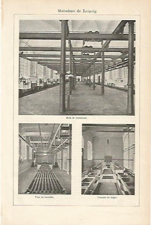 LAMINA ESPASA 1165: Fotografias del Matadero de Leipzig