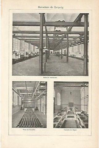 LAMINA ESPASA 1165: Fotografias del Matadero de Leipzig