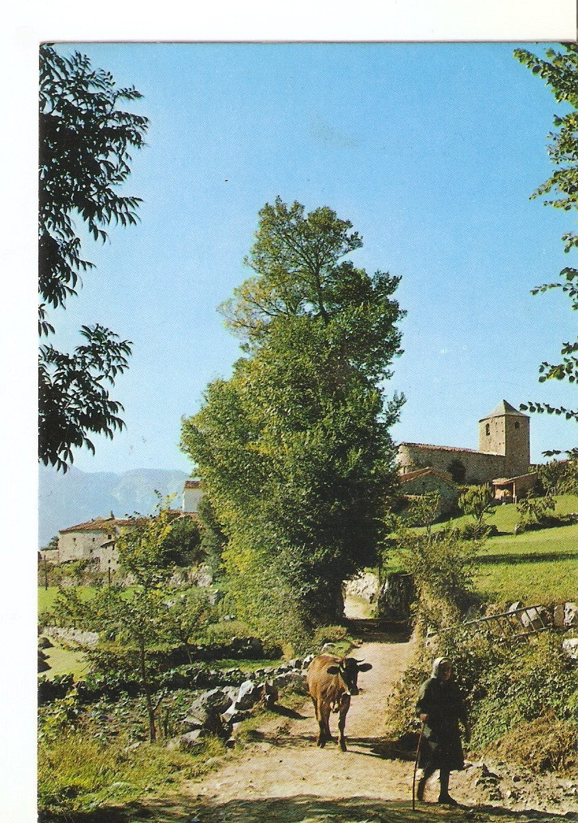 Postal 037995 : Mussa de Cerdanya. Lerida. Camino del Rio