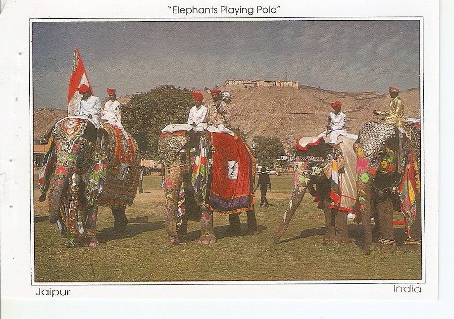 Postal 043528 : Elephant Playing Polo. Jaipur