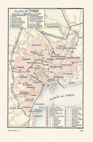 LAMINA ESPASA 1259: Plano de Tokio Japon