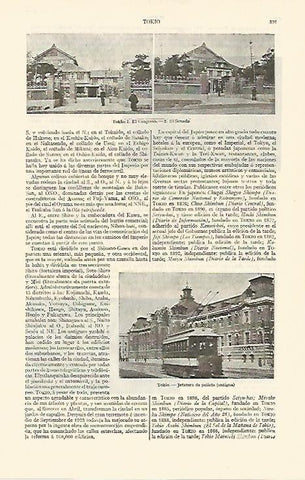 LAMINA ESPASA 1261: Vistas de Tokio Japon