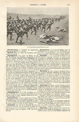 LAMINA ESPASA 1669: A la bayoneta cuadro de Zonaro