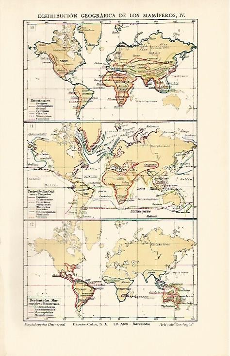LAMINA ESPASA 1700: Distribucion geografica de los mamiferos