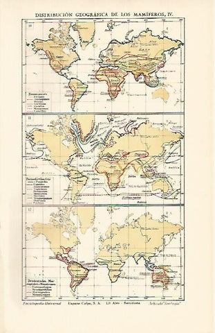 LAMINA ESPASA 1700: Distribucion geografica de los mamiferos