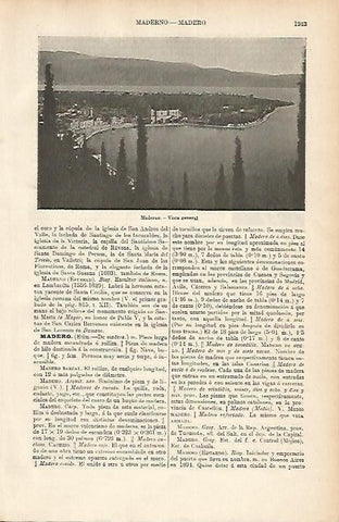 LAMINA ESPASA 1732: Vista general de Maderno Italia