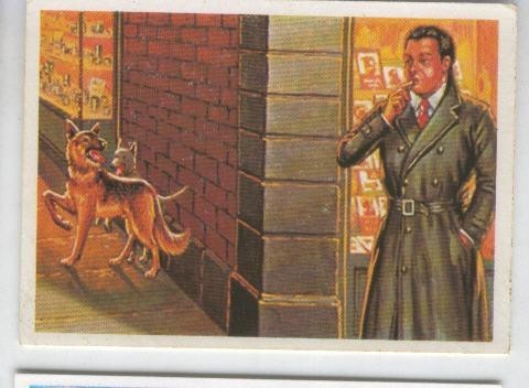 Cromos: Sabias que....? numero 16