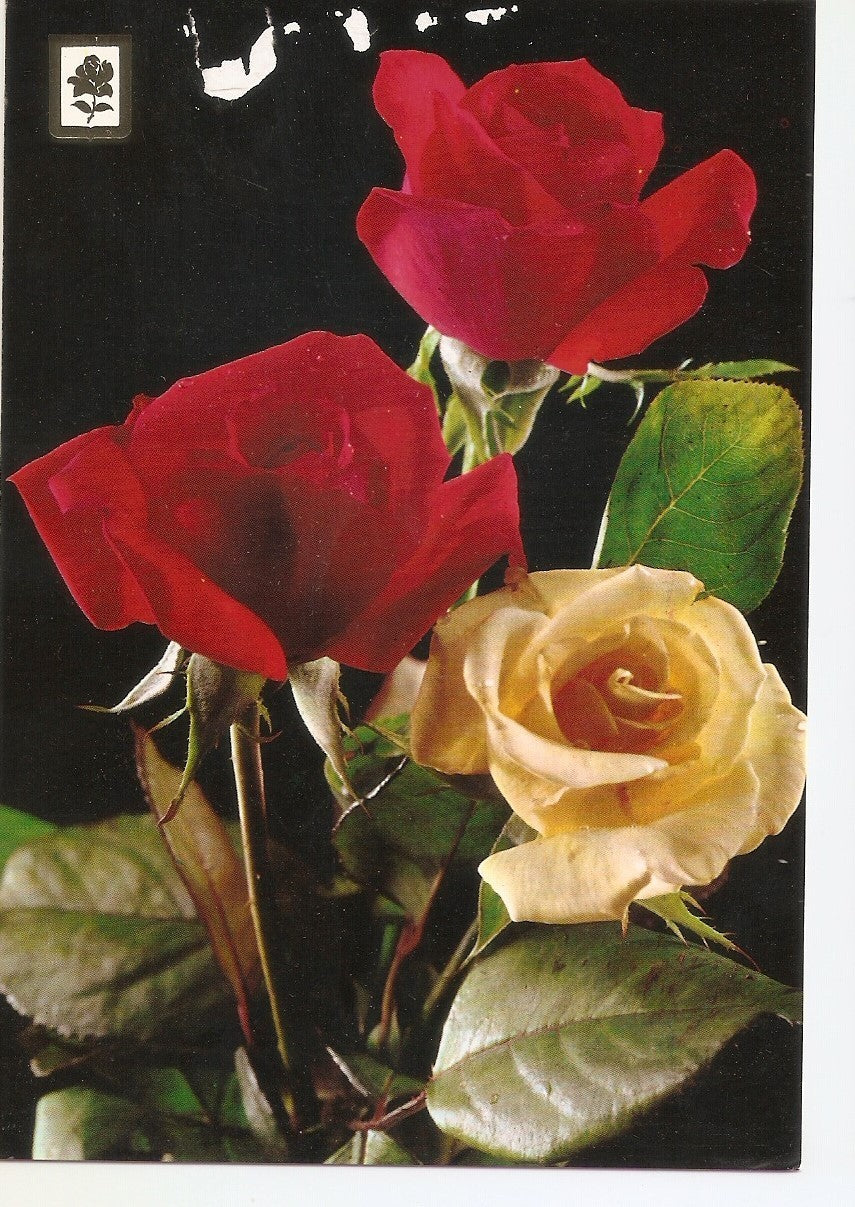 Postal 038314 : Coleccion de Flores