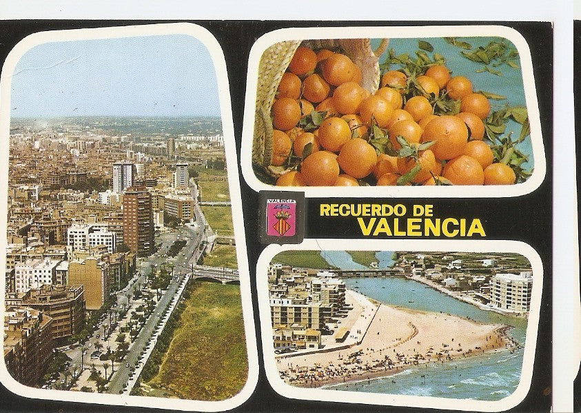 Postal 044833 : Valencia. Vista parcial aerea. Naranjas. El Perello