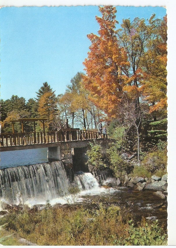 Postal 045263 : Puente en un bosque