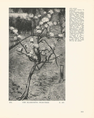 LAMINA 1349: VAN GOGH. The Blossoming Pear-tree